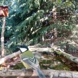 photo 2023-10-06 11-13-26