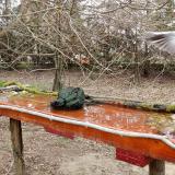 photo 2021-03-25 09-24-23