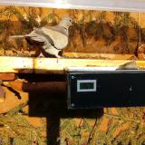 photo 2021-03-05 16-15-12