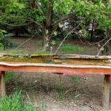 photo 2021-04-29 14-55-26