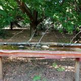 photo 2021-07-08 16-22-16