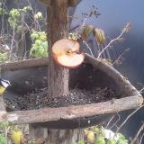 photo 2019-12-05 13-47-31