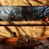 photo 2022-01-24 09-14-30