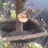 photo 2019-12-05 12-17-54