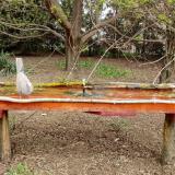 photo 2021-04-11 11-21-25