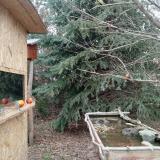 photo 2021-12-26 13-12-50