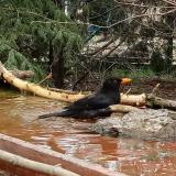 photo 2022-03-30 14-40-36 rigo