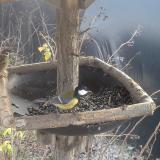 photo 2019-12-28 12-49-41