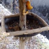 photo 2019-02-05 09-23-31