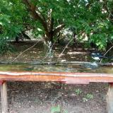 photo 2021-08-03 15-24-19