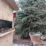 photo 2021-12-28 15-04-07