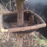 photo 2019-02-22 13-47-41