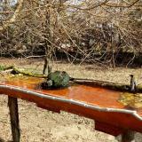 photo 2021-03-26 09-40-21