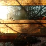 photo 2022-01-24 08-26-49