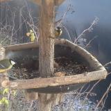 photo 2019-12-29 13-29-25