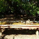 photo 2021-10-04 13-48-25