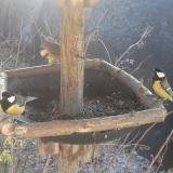 photo 2019-12-30 11-18-10