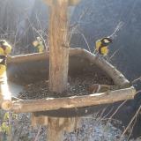 photo 2019-12-30 10-41-40