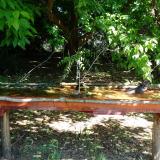 photo 2021-05-21 10-16-28