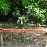 photo 2021-05-25 10-31-18