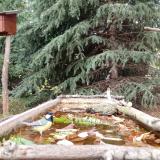 photo 2023-10-20 14-29-31