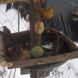 photo 2019-01-27 11-48-22