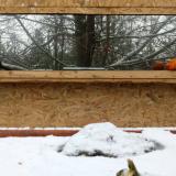 photo 2022-01-22 09-34-46