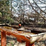 photo 2022-03-24 09-18-19