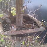 photo 2019-12-18 08-24-33