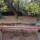 photo 2021-10-19 16-53-27