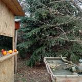 photo 2021-12-22 11-36-47