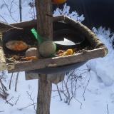 photo 2019-01-26 09-58-38