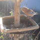 photo 2019-12-26 10-10-36