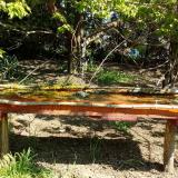 photo 2021-04-26 10-16-14