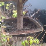 photo 2019-12-14 09-52-13