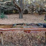 photo 2021-10-26 07-57-02