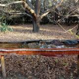 photo 2021-10-26 08-43-11