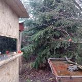 photo 2021-12-30 14-36-48