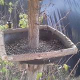 photo 2019-12-17 12-07-00