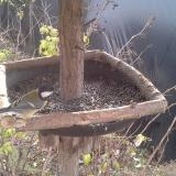 photo 2019-12-19 09-59-27