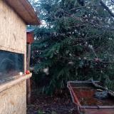 photo 2021-12-31 08-08-58