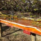 photo 2021-04-08 16-35-48