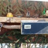 photo 2021-02-12 11-16-11