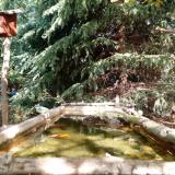 photo 2023-10-12 12-43-26