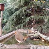 photo 2023-10-13 17-18-28