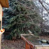 photo 2021-12-15 09-11-23