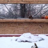 photo 2022-01-22 07-20-56