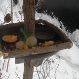 photo 2019-01-23 08-00-49