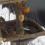 photo 2019-01-27 13-17-56