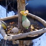 photo 2019-01-15 09-15-09